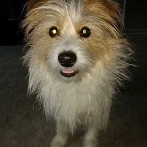 Meet your Posher, Janine